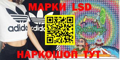 мяу мяу мука Будённовск