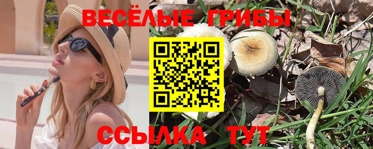 Галлюциногенные грибы прущие грибы  Псилоцибиновые грибы GOLDEN TEACHER  Саратов  Вход с VPN 