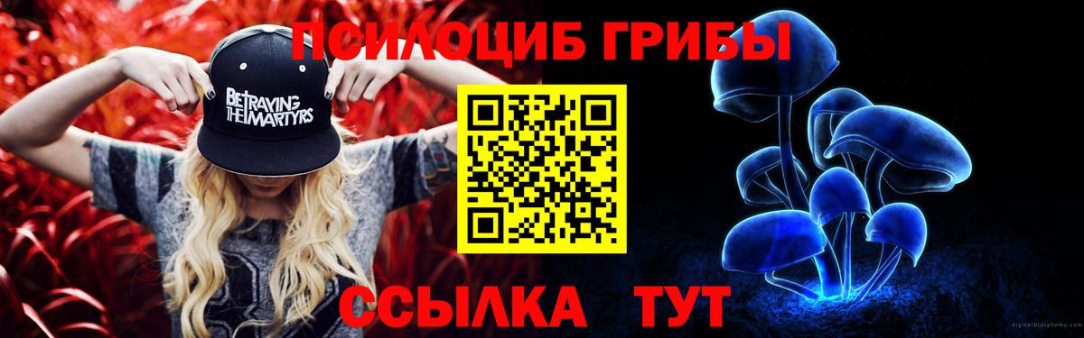 Галлюциногенные грибы Psilocybe Саратов